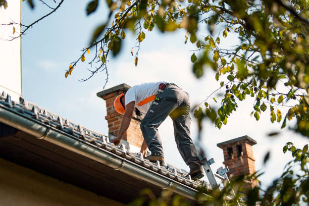 Best Roof Gutter Cleaning  in Robinson, TX
