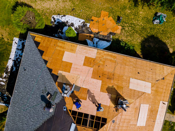 Best Roof Gutter Cleaning  in Robinson, TX